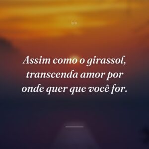 Assim como o girassol, transcenda amor por onde quer que você for.