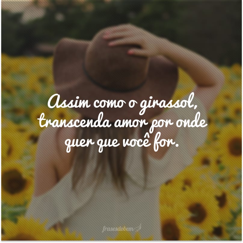 Assim como o girassol, transcenda amor por onde quer que você for. 