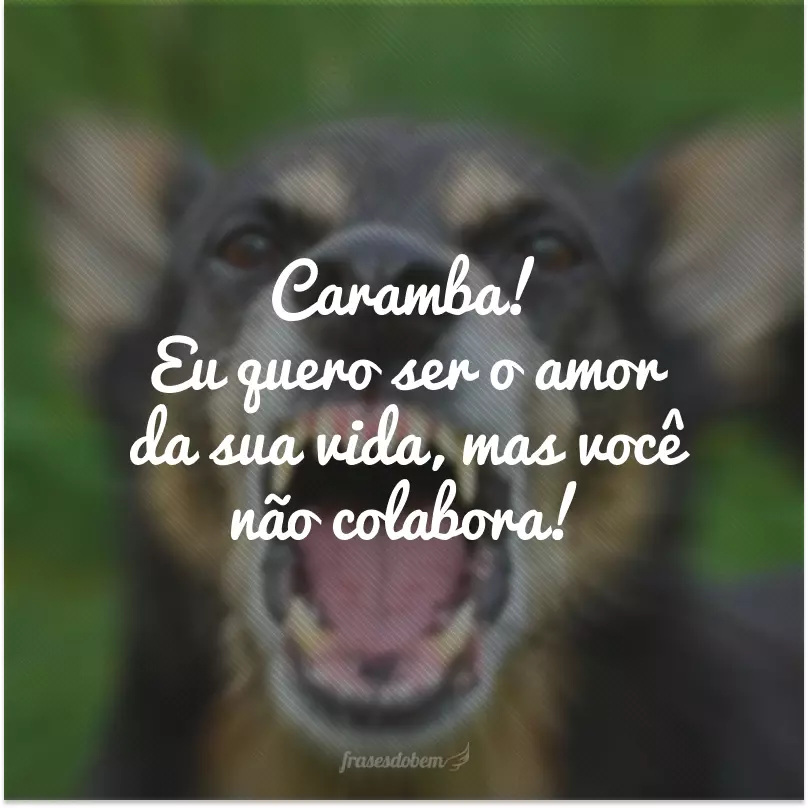 Caramba! Eu quero ser o amor da sua vida, mas você não colabora!