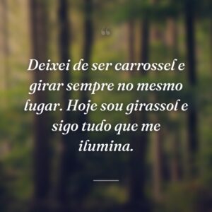 Deixei de ser carrossel e girar sempre no mesmo lugar. Hoje sou girassol e sigo tudo que me ilumina.