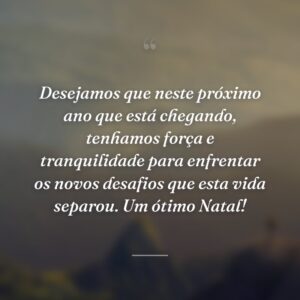Desejamos que neste próximo ano que está chegando, tenhamos força e tranquilidade para enfrentar os novos desafios que esta vida separou. Um ótimo Natal!