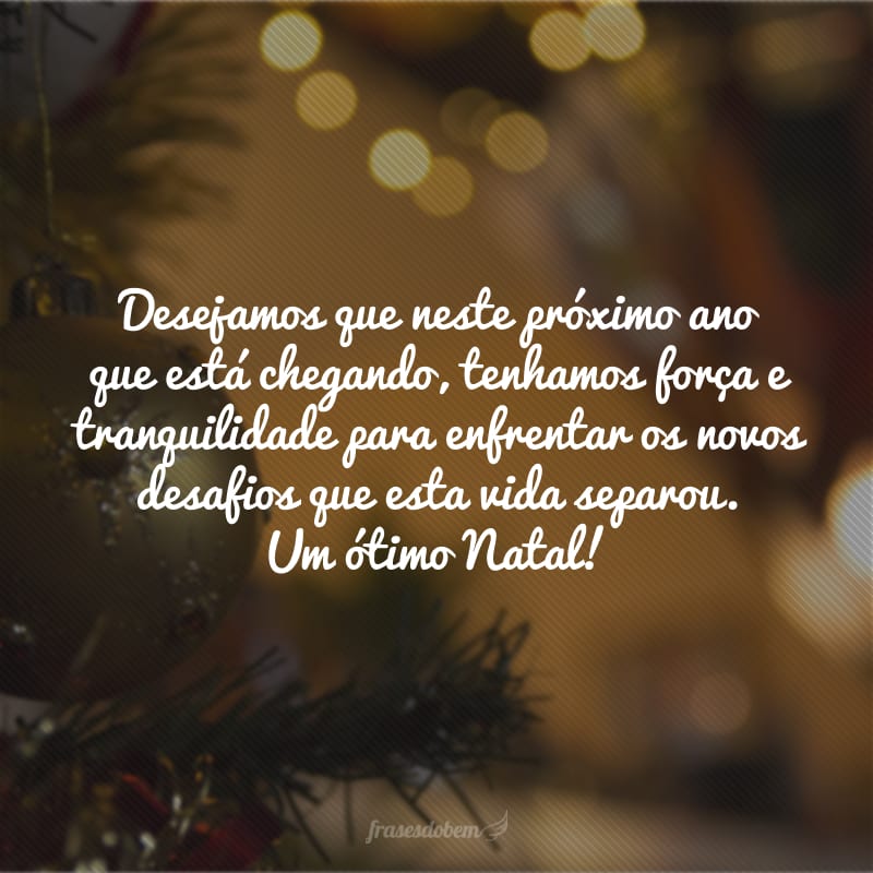 Desejamos que neste próximo ano que está chegando, tenhamos força e tranquilidade para enfrentar os novos desafios que esta vida separou. Um ótimo Natal!