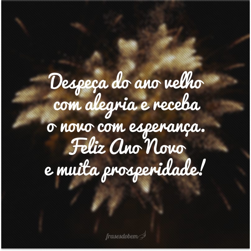 Despeça do ano velho com alegria e receba o novo com esperança. Feliz Ano Novo e muita prosperidade!