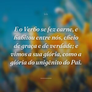 E o Verbo se fez carne, e habitou entre nós, cheio de graça e de verdade; e vimos a sua glória, como a glória do unigênito do Pai.