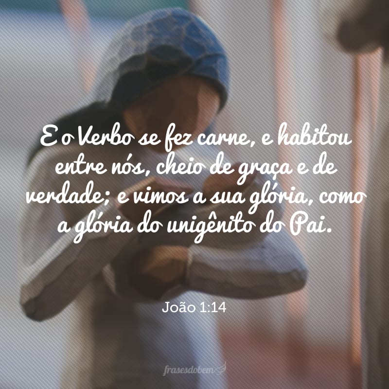 E o Verbo se fez carne, e habitou entre nós, cheio de graça e de verdade; e vimos a sua glória, como a glória do unigênito do Pai.