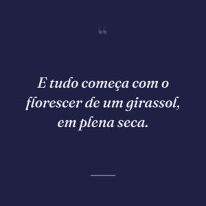 E tudo começa com o florescer de um girassol, em plena seca.