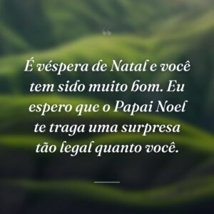 É véspera de Natal e você tem sido muito bom. Eu espero que o Papai Noel te traga uma surpresa tão legal quanto você.