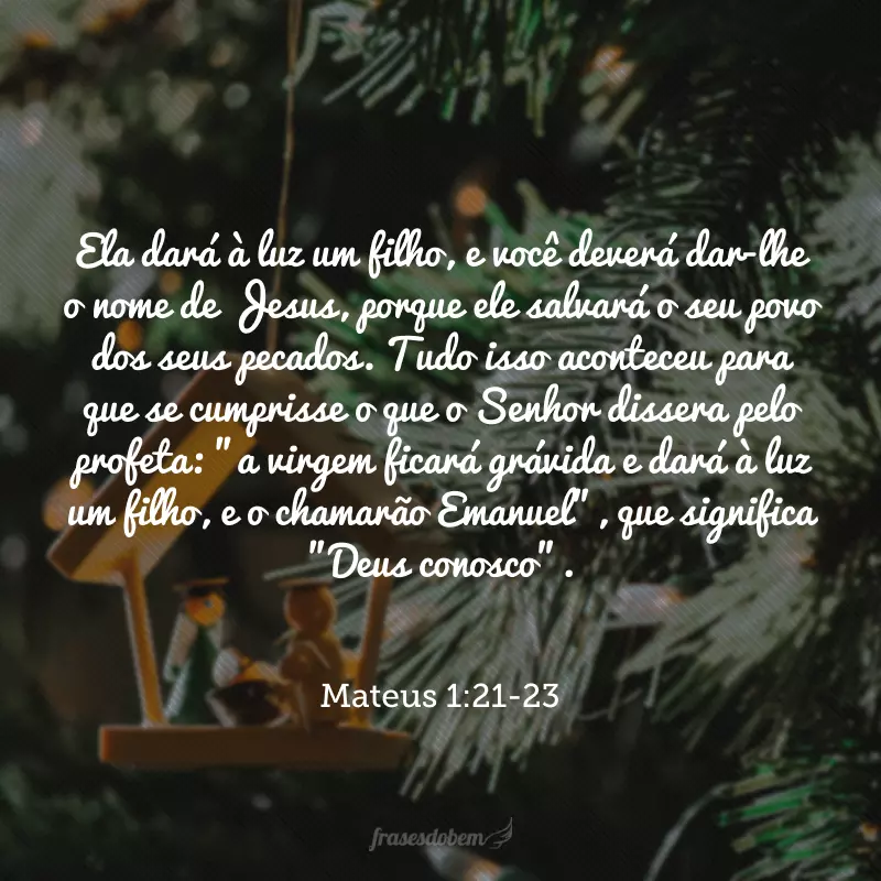 Ela dará à luz um filho, e você deverá dar-lhe o nome de Jesus, porque ele salvará o seu povo dos seus pecados. Tudo isso aconteceu para que se cumprisse o que o Senhor dissera pelo profeta: 