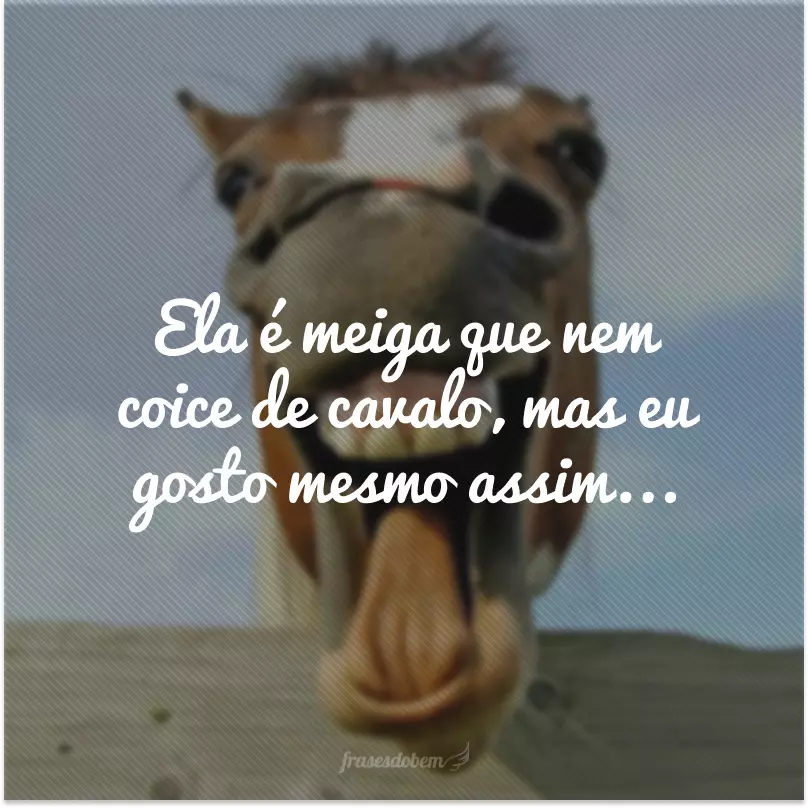 Ela é meiga que nem coice de cavalo, mas eu gosto mesmo assim...