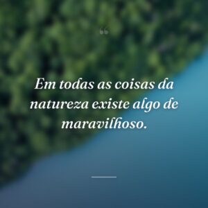 Em todas as coisas da natureza existe algo de maravilhoso.