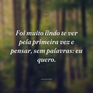 Foi muito lindo te ver pela primeira vez e pensar, sem palavras: eu quero.