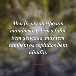 Meu fi, eu sou tipo um mandacarú. Tem a fulor bem delicada, mas tem também os espinhos bem afiadin.