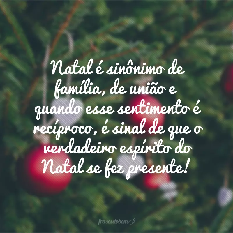 Featured image of post Imagem Natal Em Familia - Musica de natal em português ⛄ músicas de natal 2021 ❄ as melhores canções natalinas.