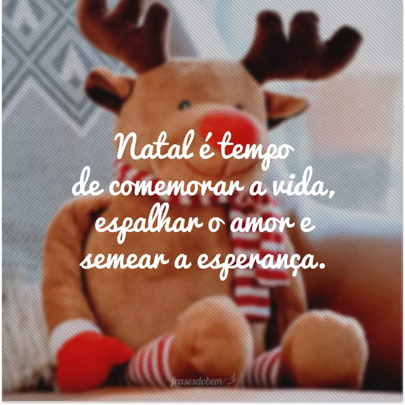 Natal é tempo de comemorar a vida, espalhar o amor e semear a esperança.