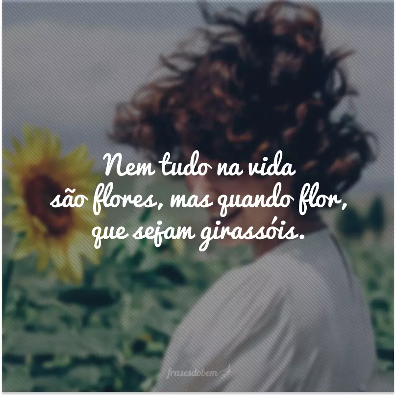 Nem tudo na vida são flores, mas quando flor, que sejam girassóis.