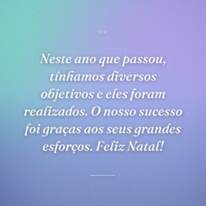 Neste ano que passou, tínhamos diversos objetivos e eles foram realizados. O nosso sucesso foi graças aos seus grandes esforços. Feliz Natal!