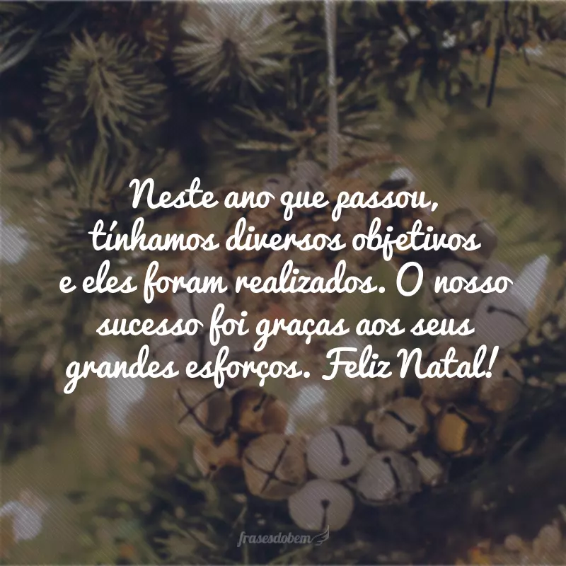 Neste ano que passou, tínhamos diversos objetivos e eles foram realizados. O nosso sucesso foi graças aos seus grandes esforços. Feliz Natal!