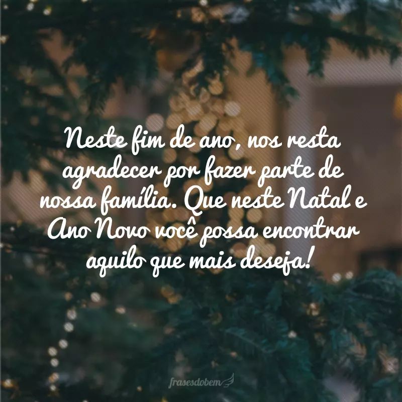 Neste fim de ano, nos resta agradecer por fazer parte de nossa família. Que neste Natal e Ano Novo você possa encontrar aquilo que mais deseja!