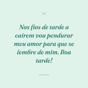Nos fios de tarde a caírem vou pendurar meu amor para que se lembre de mim. Boa tarde!