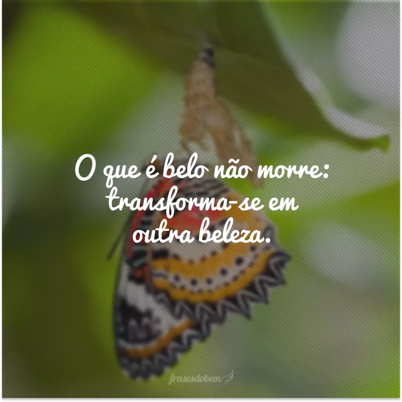 O que é belo não morre: transforma-se em outra beleza.