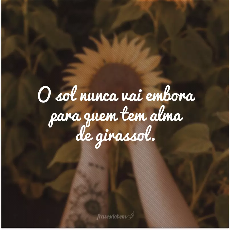 Featured image of post Frases Sobre Girassol Feito girassol seja luz para si mesmo e redescubra o seu sol