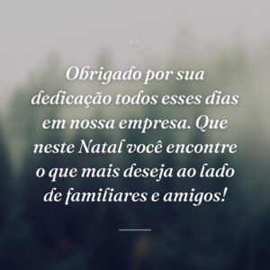 Obrigado por sua dedicação todos esses dias em nossa empresa. Que neste Natal você encontre o que mais deseja ao lado de familiares e amigos!