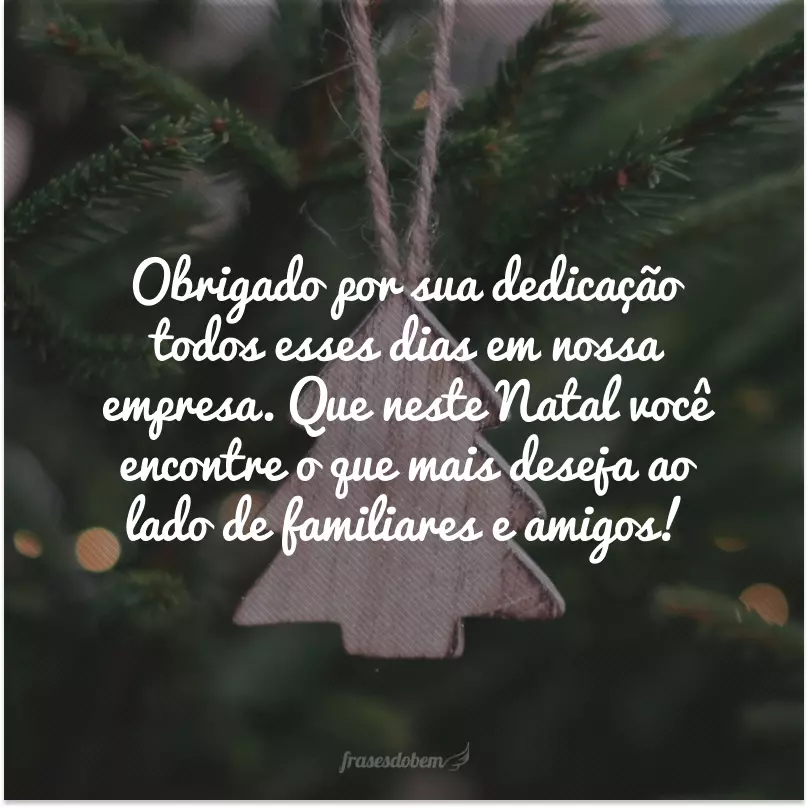 Obrigado por sua dedicação todos esses dias em nossa empresa. Que neste Natal você encontre o que mais deseja ao lado de familiares e amigos!