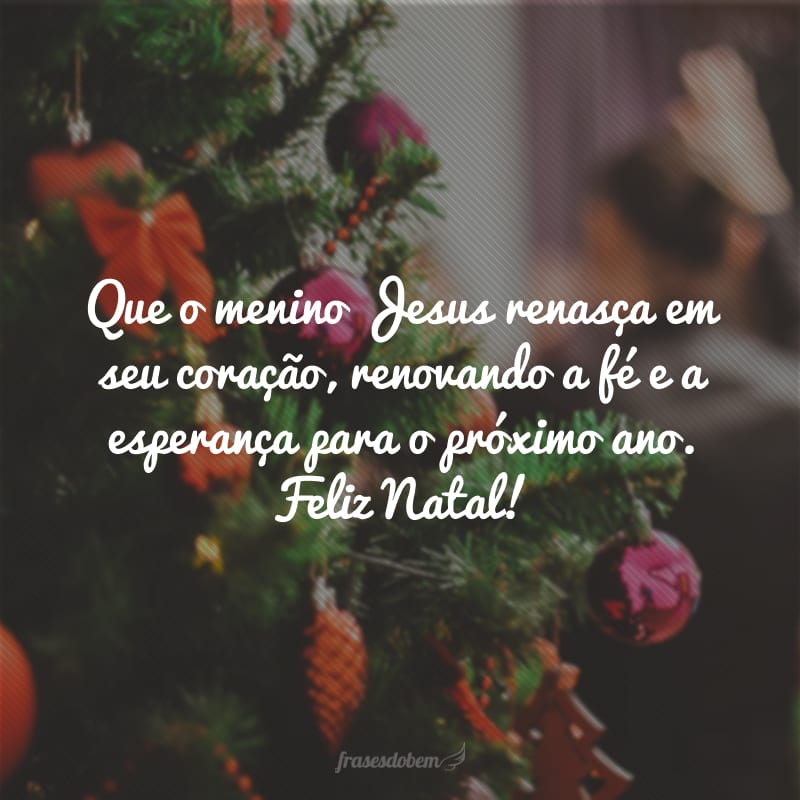 Que o menino Jesus renasça em seu coração, renovando a fé e a esperança para o próximo ano. Feliz Natal!