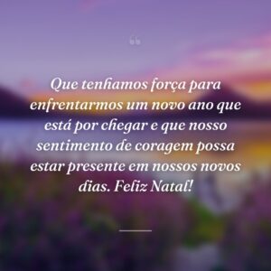 Que tenhamos força para enfrentarmos um novo ano que está por chegar e que nosso sentimento de coragem possa estar presente em nossos novos dias. Feliz Natal!