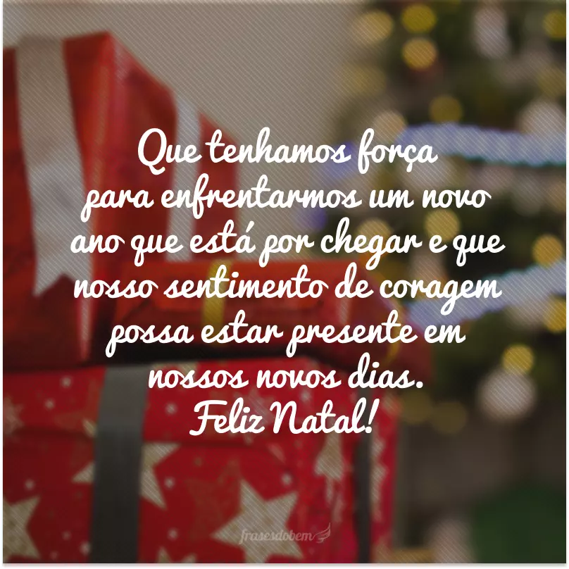 Que tenhamos força para enfrentarmos um novo ano que está por chegar e que nosso sentimento de coragem possa estar presente em nossos novos dias. Feliz Natal!