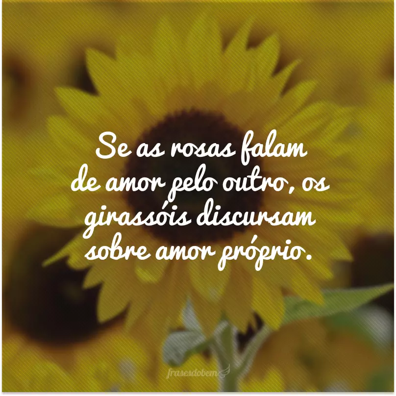 Se as rosas falam de amor pelo outro, os girassóis discursam sobre amor próprio. 