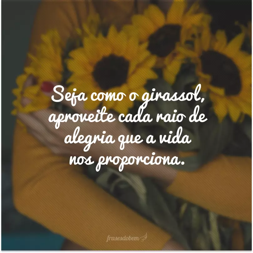 Seja como o girassol, aproveite cada raio de alegria que a vida nos proporciona.