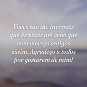 Vocês são tão incríveis que às vezes até acho que nem mereço amigos assim. Agradeço a todos por gostarem de mim!