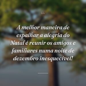 A melhor maneira de espalhar a alegria do Natal é reunir os amigos e familiares numa noite de dezembro inesquecível!