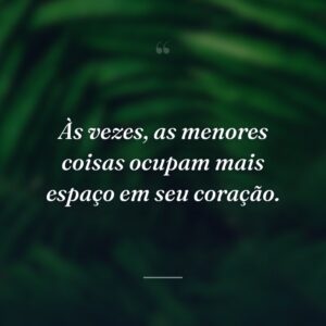 Às vezes, as menores coisas ocupam mais espaço em seu coração.