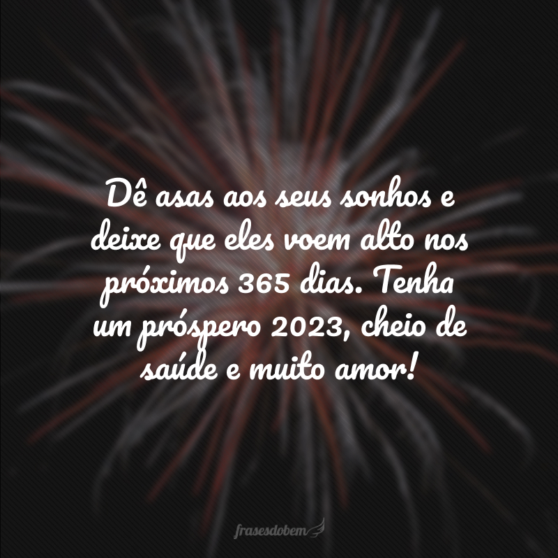 Dê asas aos seus sonhos para alcançar as alturas nos próximos 366 dias. Tenha um próspero 2024, cheio de saúde e muito amor!