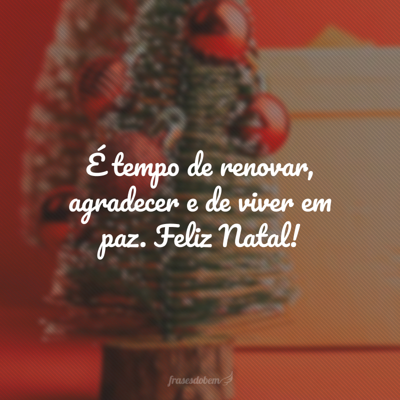 É tempo de renovar, agradecer e de viver em paz. Feliz Natal!