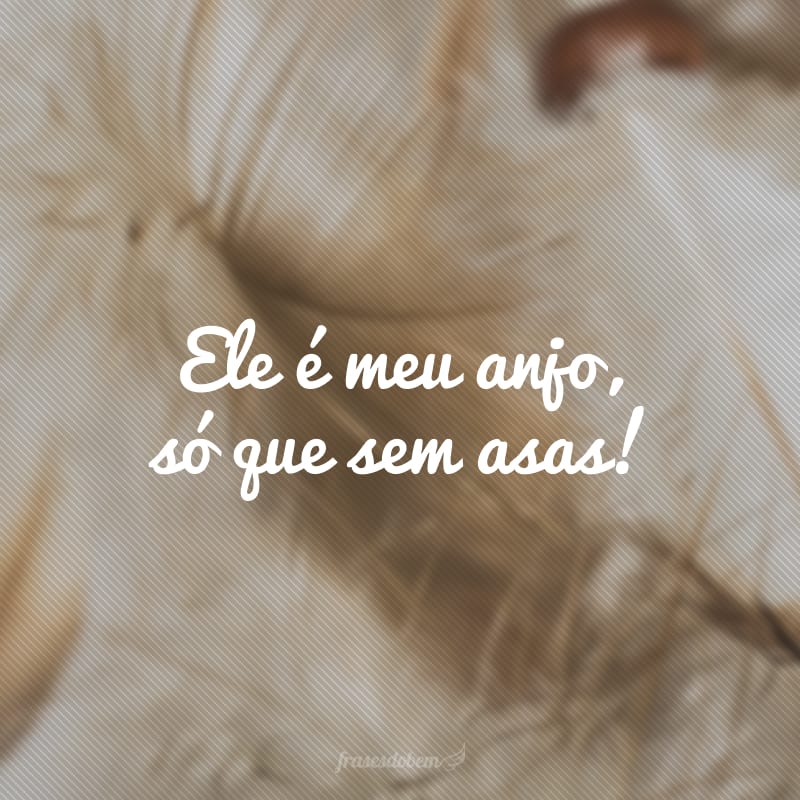 Ele é meu anjo, só que sem asas!