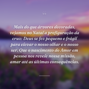 Mais do que árvores decoradas, vejamos no Natal a prefiguração da cruz: Deus se fez pequeno e frágil para elevar o nosso olhar e o nosso ser. Que o nascimento do Amor em pessoa nos revele nossa missão, amar até as últimas consequências.