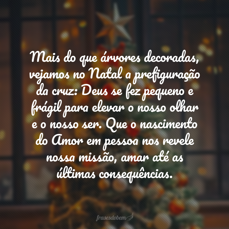 Mais do que árvores decoradas, vejamos no Natal a prefiguração da cruz: Deus se fez pequeno e frágil para elevar o nosso olhar e o nosso ser. Que o nascimento do Amor em pessoa nos revele nossa missão, amar até as últimas consequências.