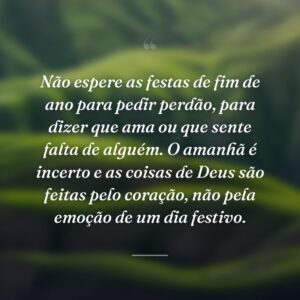 Não espere as festas de fim de ano para pedir perdão, para dizer que ama ou que sente falta de alguém. O amanhã é incerto e as coisas de Deus são feitas pelo coração, não pela emoção de um dia festivo.