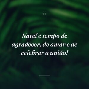 Natal é tempo de agradecer, de amar e de celebrar a união!