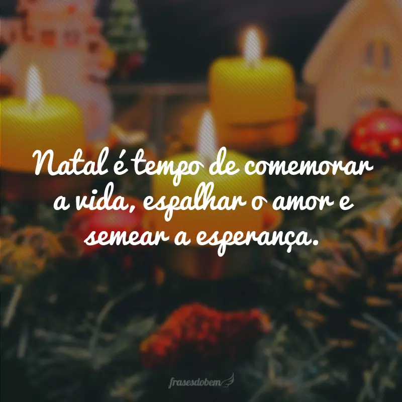 Natal é tempo de comemorar a vida, espalhar o amor e semear a esperança.