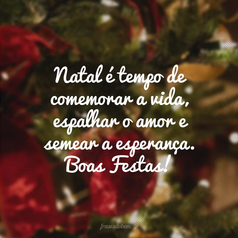 Natal é tempo de comemorar a vida, espalhar o amor e semear a esperança. Boas Festas!