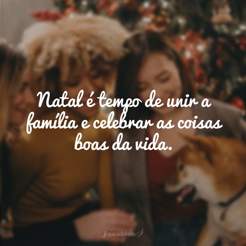 Natal é tempo de unir a família e celebrar as coisas boas da vida.