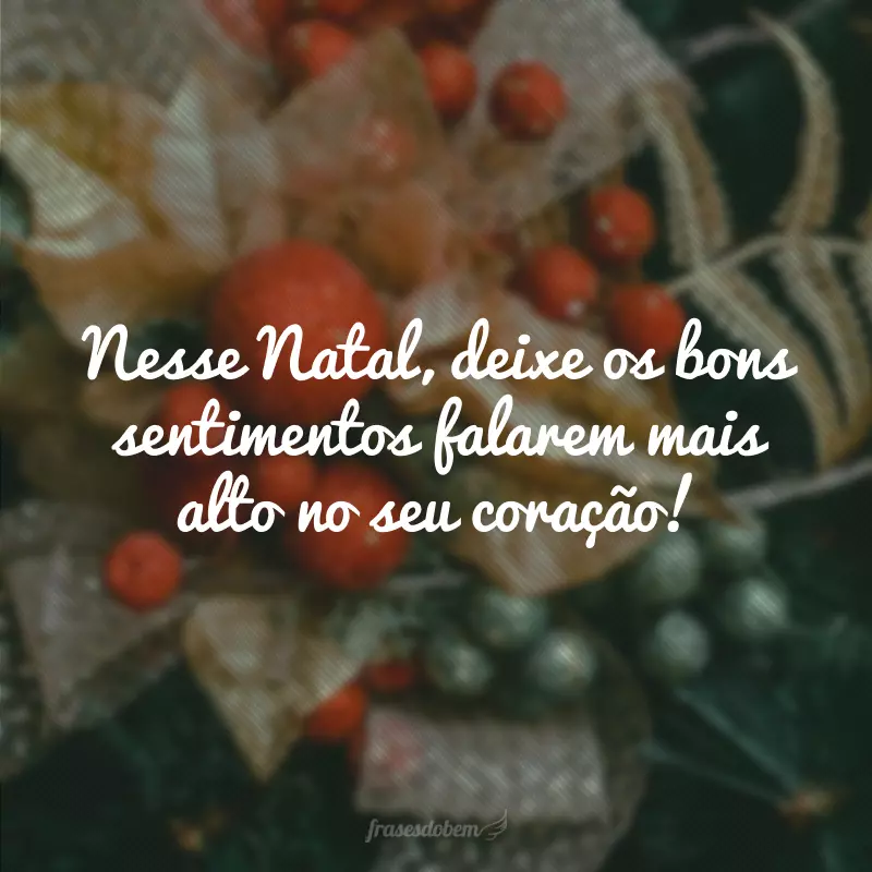 Nesse Natal, deixe os bons sentimentos falarem mais alto no seu coração!