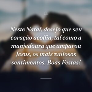 Neste Natal, desejo que seu coração acolha, tal como a manjedoura que amparou Jesus, os mais valiosos sentimentos. Boas Festas!