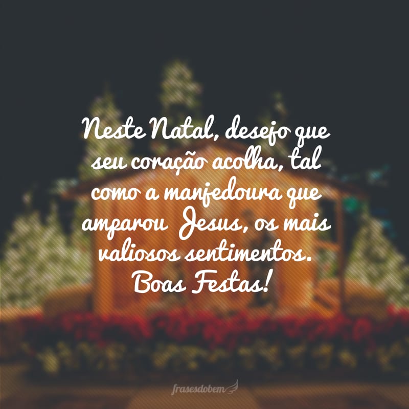 Neste Natal, desejo que seu coração acolha, tal como a manjedoura que amparou Jesus, os mais valiosos sentimentos. Boas Festas!