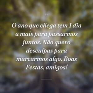 O ano que chega tem 1 dia a mais para passarmos juntos. Não quero desculpas para marcarmos algo. Boas Festas, amigos!