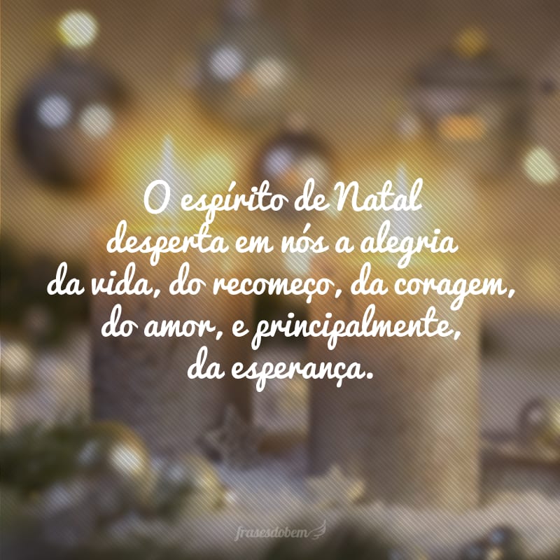 O espírito de Natal desperta em nós a alegria da vida, do recomeço, da coragem, do amor e principalmente, da esperança. 